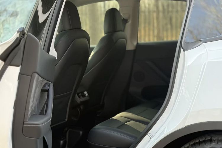 特斯拉 Model Y 2022款 Performance高性能全轮驱动版中控内饰7008