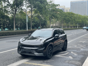 领克01 2021款 2.0TD 四驱暗夜版