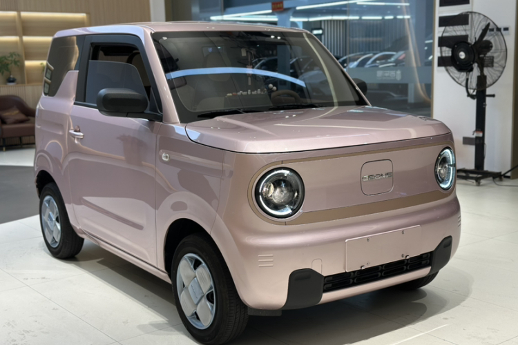 吉利银河 2024款 熊猫mini 200km 耐力熊车身外观6007