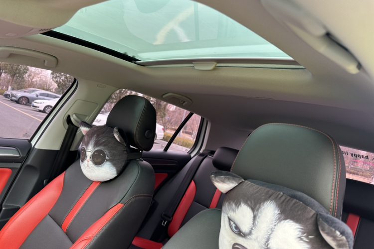 大众 高尔夫 2017款 230TSI 手动舒适百万辆纪念版局部细节22