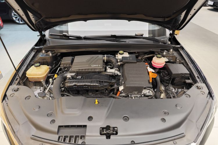 比亚迪 秦PLUS 2021款 DM-i 55KM 旗舰型局部细节24