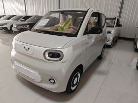 五菱汽车 宏光MINIEV 2024款 第三代 215km 青春版