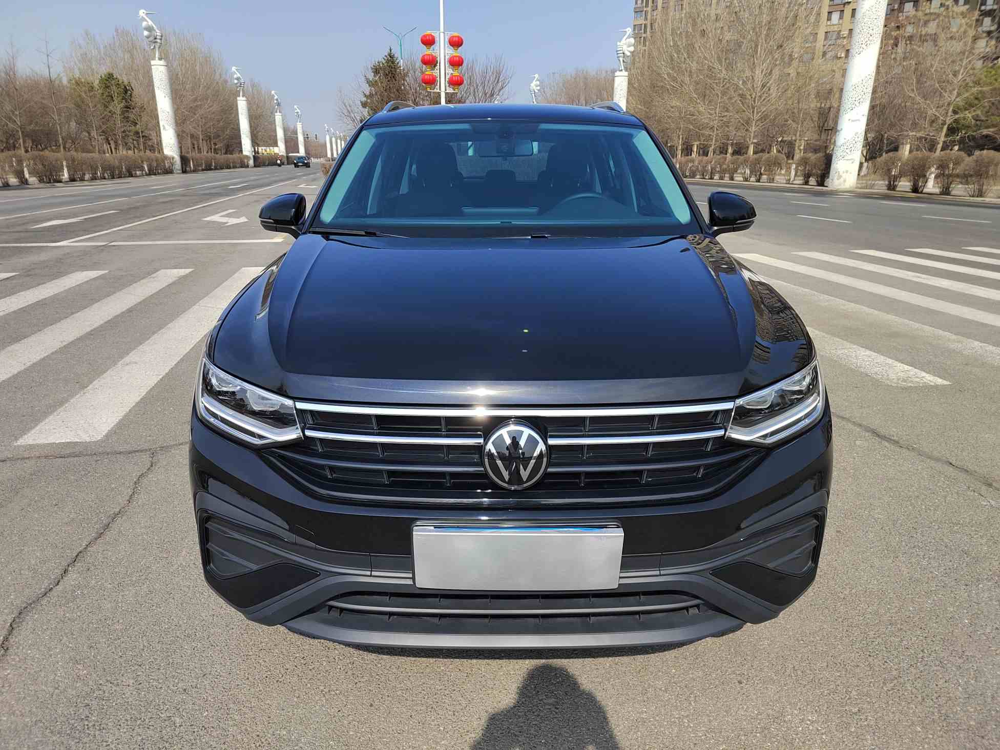 大众 途观L 2024款 300TSI 自动两驱智享版(2)