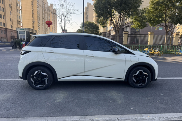 比亚迪 海豚 2021款 405km 时尚版车身外观6004