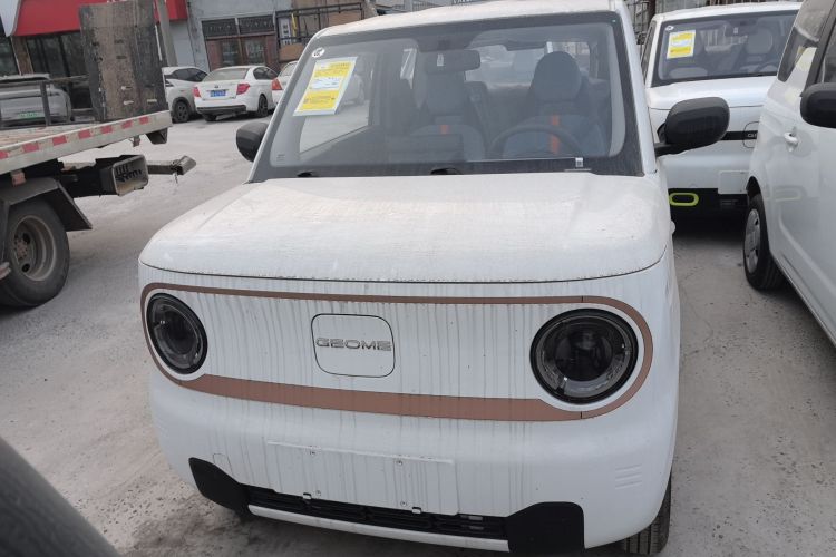 吉利银河 2024款 熊猫mini 200km 耐力熊车身外观6006