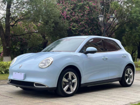欧拉好猫 2021款 400km标准续航 雅典娜版 三元锂
