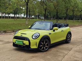 MINI 2023款 2.0T COOPER S CABRIO 艺术家