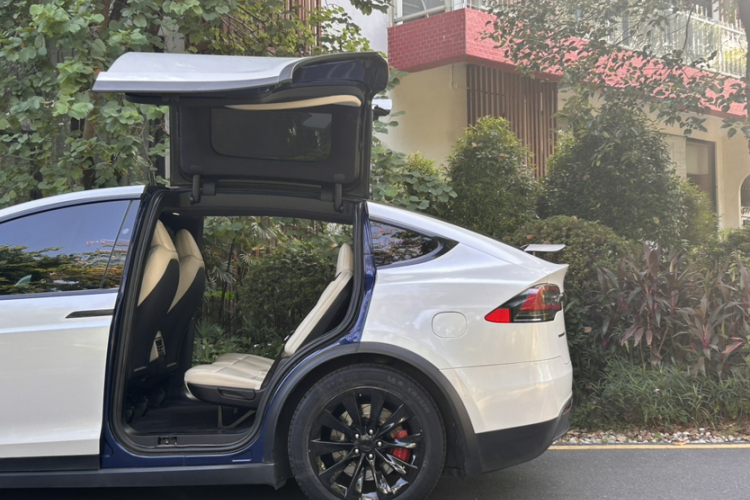 特斯拉 Model X 2019款 长续航版车身外观6002