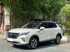 五菱汽车 五菱星辰 2021款 1.5T CVT星曜版