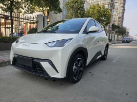 比亚迪 海鸥 2024款 荣耀版 405km 飞翔版