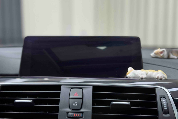 宝马3系 2018款 320Li 领先型M运动套装局部细节9008