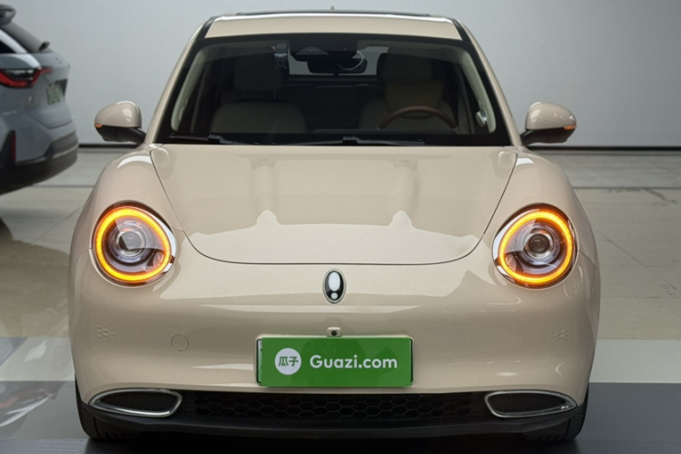 欧拉好猫 2021款 400km标准续航 维纳斯版 三元锂车身外观6001