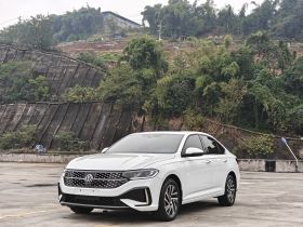 大众 朗逸 2023款 改款 1.5L 自动星空五百万版