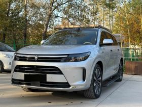 鸿蒙智行 问界M7 2024款 1.5T 智驾四驱Max版 5座