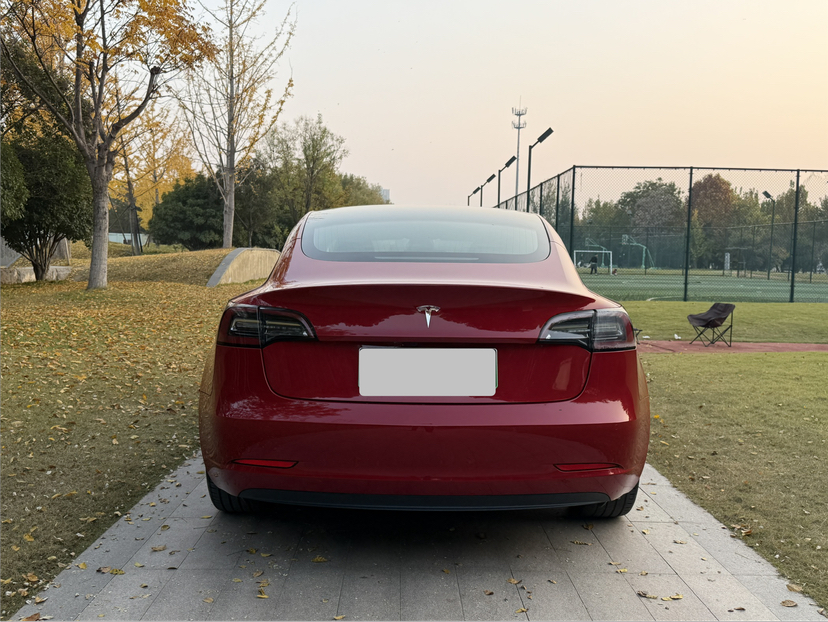 特斯拉 Model 3 2020款 改款 标准续航后驱升级版