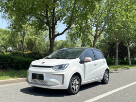 思皓 花仙子 2021款 集美版 302km 时尚型