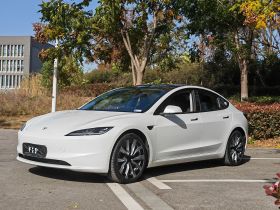 特斯拉 Model 3 2023款 后轮驱动版