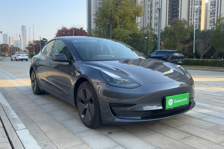 特斯拉 Model 3 2021款 标准续航后驱升级版车身外观6002