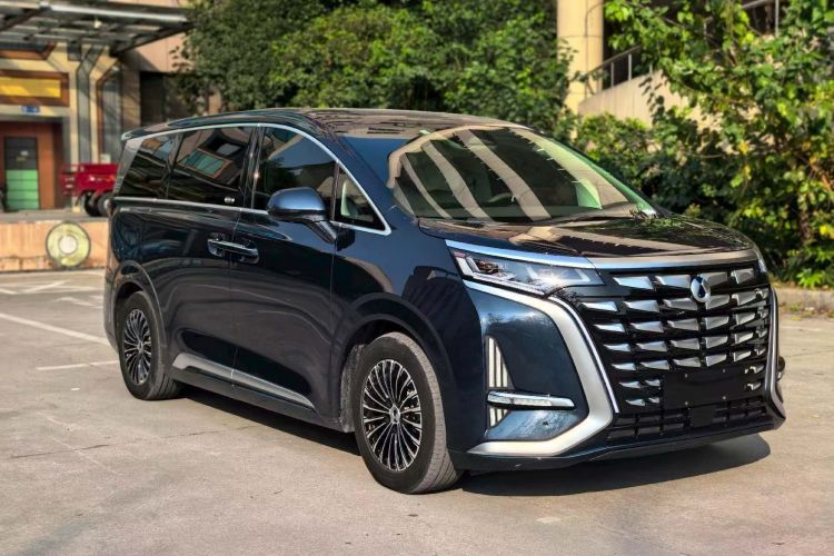 腾势D9 2022款 DM-i 1040 尊贵型车身外观6003