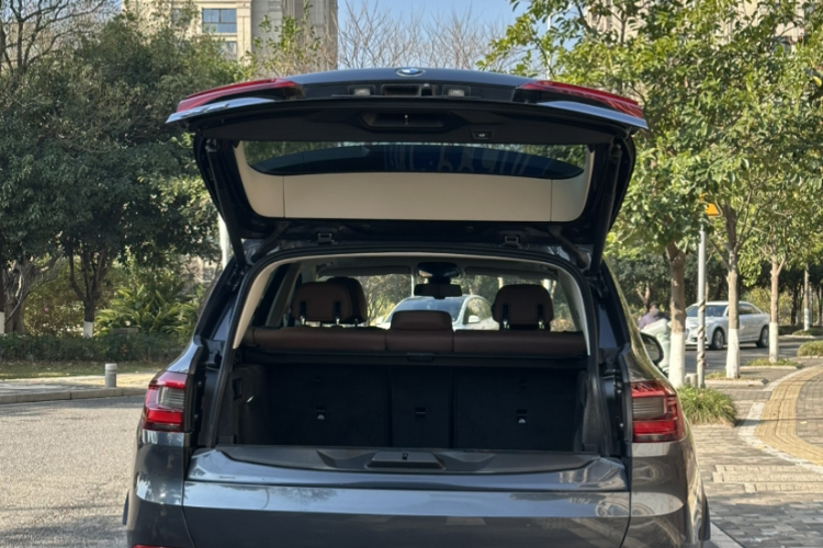 宝马X5(进口) 2020款 xDrive30i X设计套装中控内饰7005