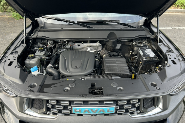 哈弗大狗 PLUS 新能源 2024款 Hi4 102km 潮电版Plus局部细节24