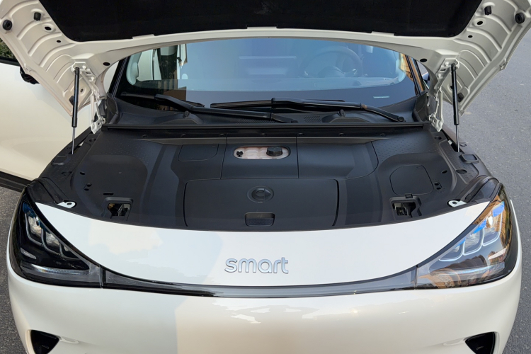 smart精灵#1 2022款 Pulse心动版局部细节24