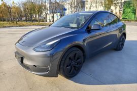 特斯拉 Model Y 2021款 长续航全轮驱动版
