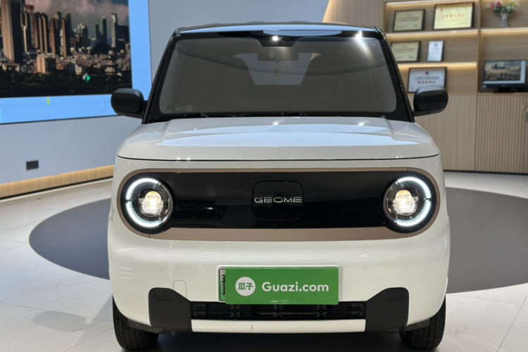 吉利银河 2024款 熊猫mini 200km 耐力熊车身外观6004