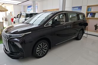 东风风行 星海V9 2024款 1.5TD 200km 中国结系列 豪华型