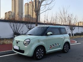 长安启源 长安Lumin 2022款 210km 香甜款