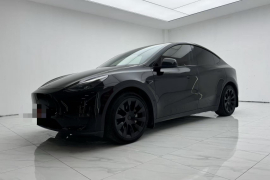 特斯拉 Model Y 2021款 标准续航后驱版