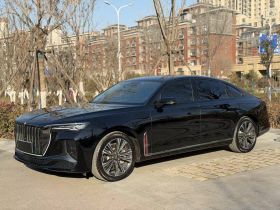 红旗H9 2024款 2.0T 旗享 私享风尚版