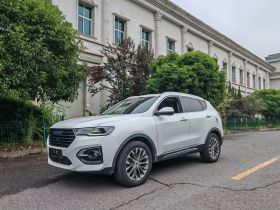 哈弗H6 2019款 蓝标 2.0GDIT 自动豪华智联版