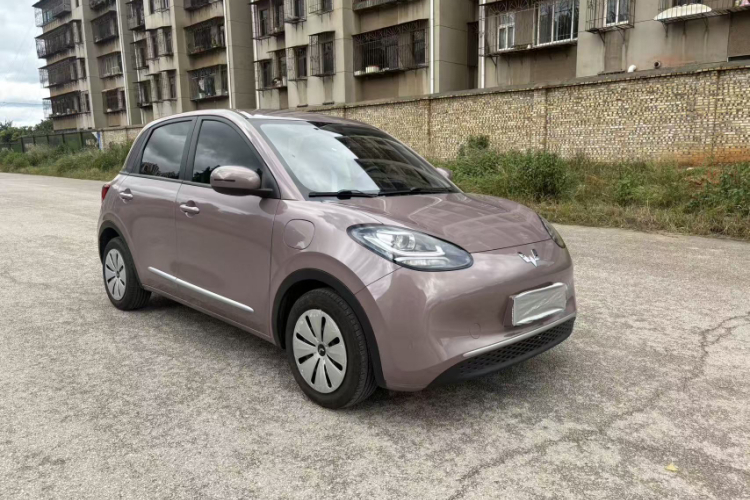 五菱汽车 五菱缤果 2023款 203km 轻享款车身外观6007