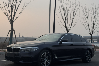 宝马5系 2020款 530Li 尊享型 M运动套装