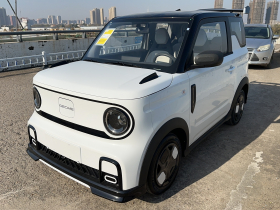 吉利银河 2025款 210km 熊猫卡丁