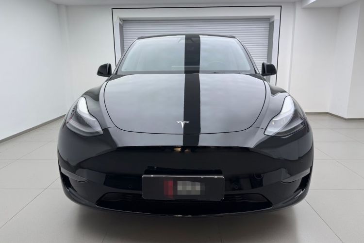 特斯拉 Model Y 2021款 标准续航后驱版车身外观6007