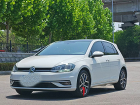 大众 高尔夫 2020款 挚爱版 280TSI DSG豪华型