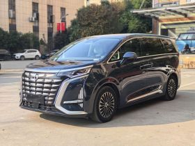 腾势D9 2022款 DM-i 1040 尊贵型