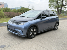 比亚迪 海豚 2021款 401km 骑士版