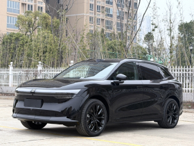 极氪7X 2025款 100kWh 长续航后驱智驾版