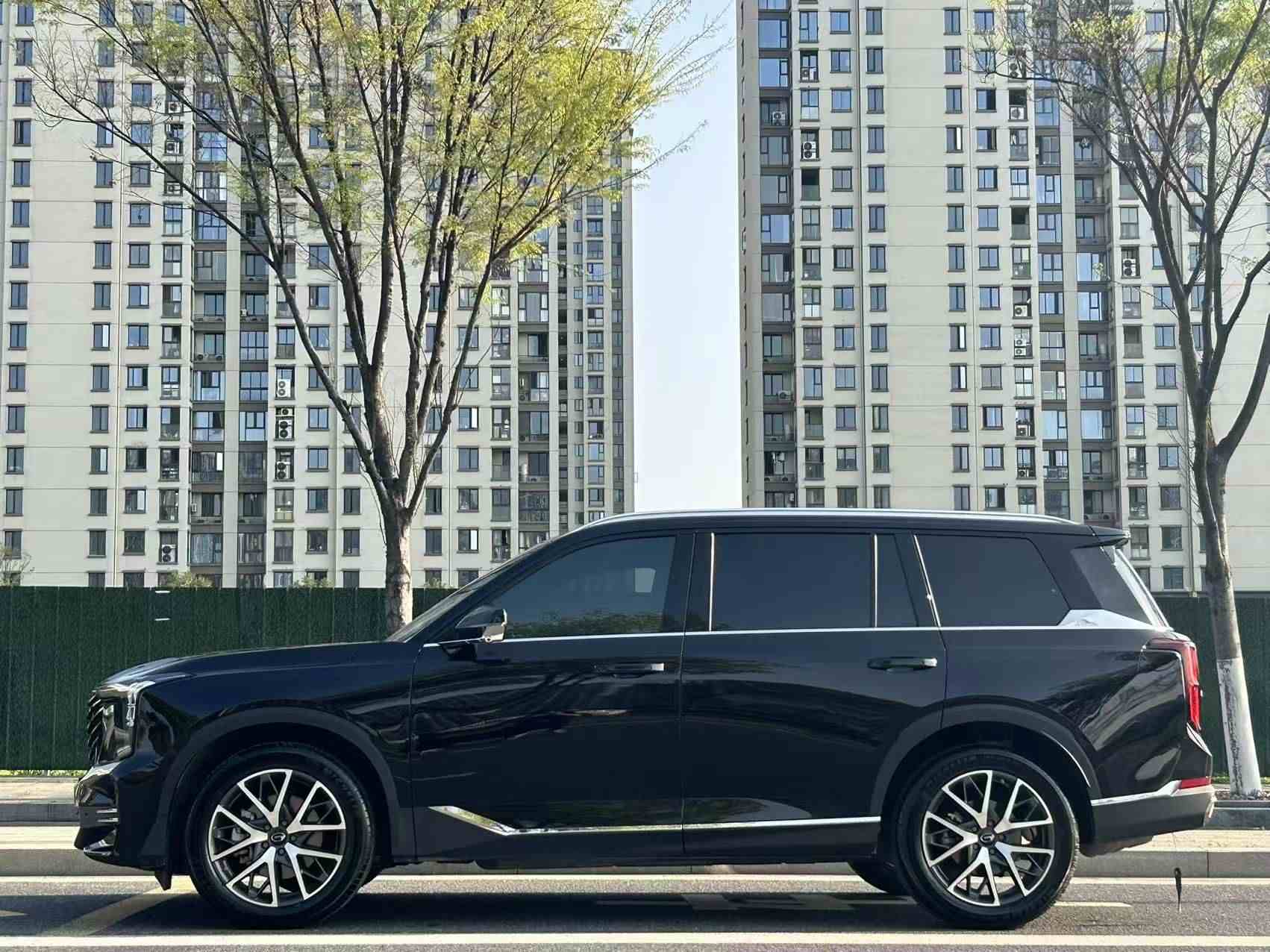 广汽传祺 传祺GS8 2024款 领航系列 2.0TGDI 两驱豪华智联版 7座(3)