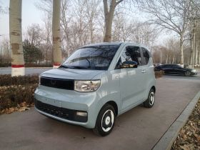 五菱汽车 宏光MINIEV 2022款 悦享款 三元锂