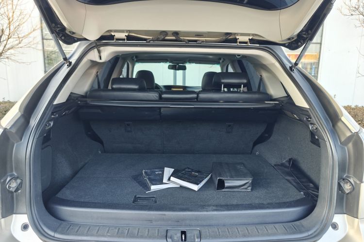 雷克萨斯RX经典 2011款 270 豪华版局部细节23