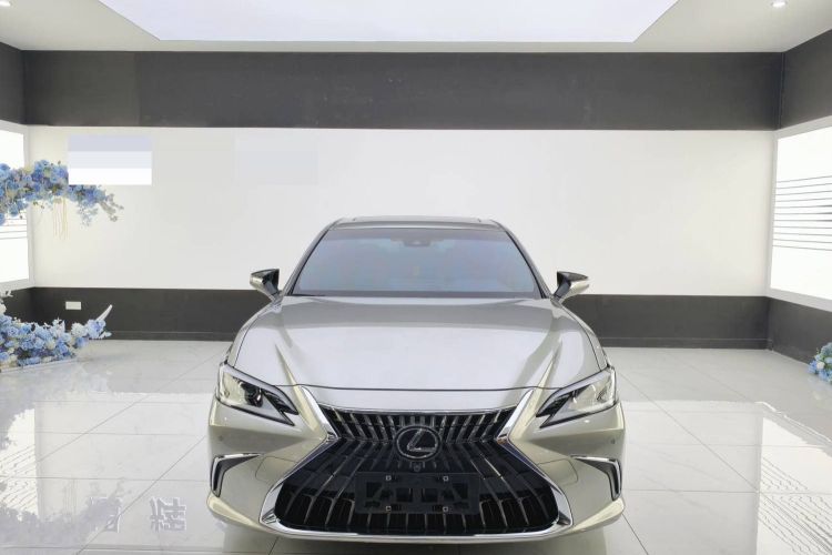 雷克萨斯ES 2021款 200 卓越版车身外观6001