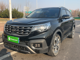 起亚 智跑 2019款 2.0L 自动智享豪华版