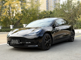特斯拉 Model 3 2022款 后轮驱动版