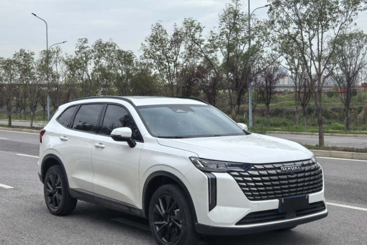 哈弗H6 2024款 2.0T 四驱Max车身外观6001