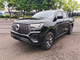 长城 炮 2024款 2.4T商用版自动柴油两驱精英型