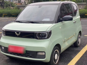 五菱汽车 宏光MINIEV 2021款 马卡龙臻享款 磷酸铁锂